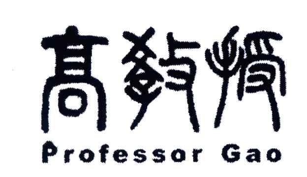 高教授;PROFESSOR GAO