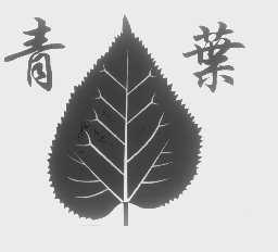 青叶