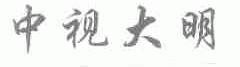 中视大明