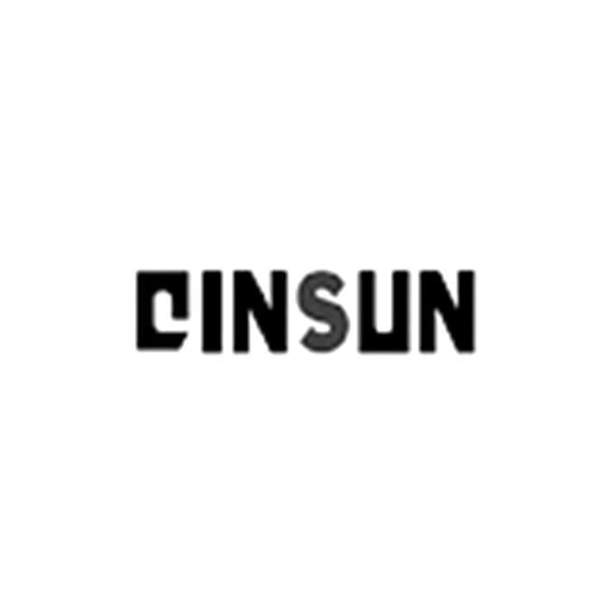 QINSUN