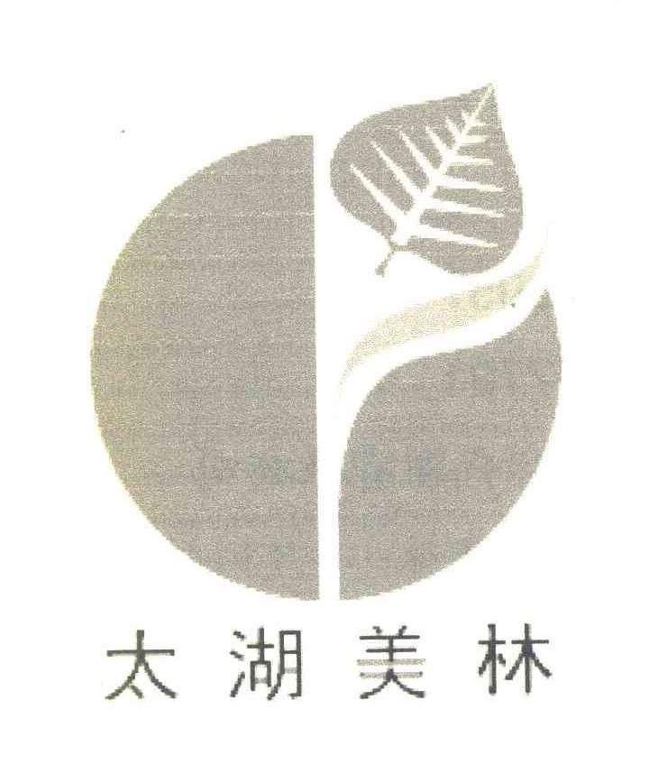 太湖美林