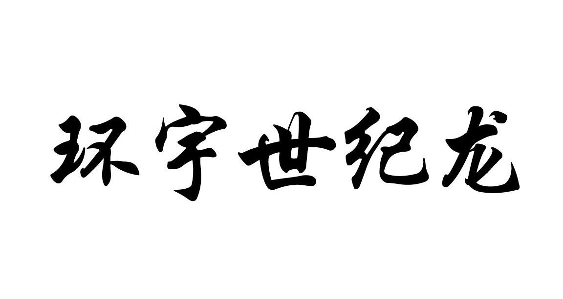 环宇世纪龙