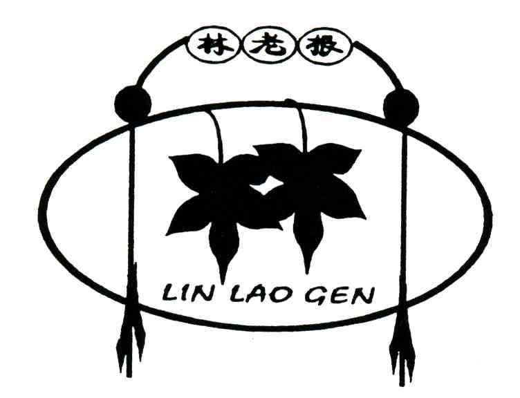 林老根