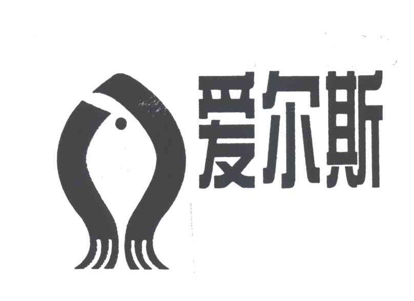 爱尔斯