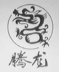 腾龙