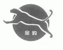 金豹