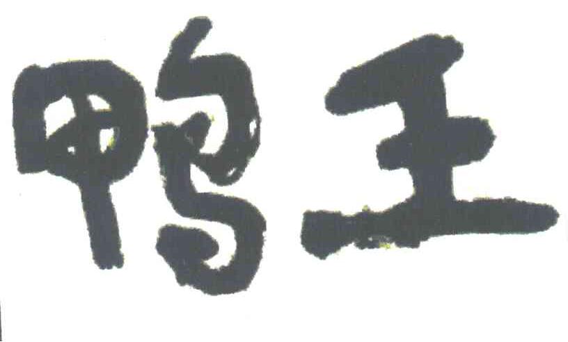 鸭王