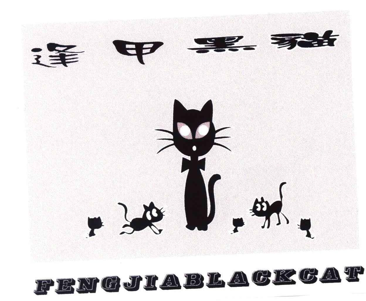 逢甲黑猫;FENGJIABLACKCAT