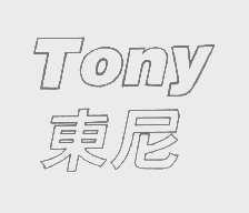 东尼   TONY