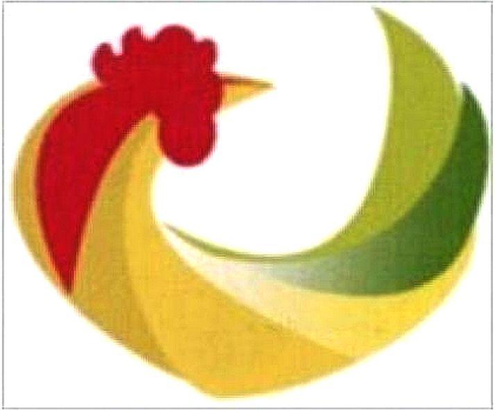 图形