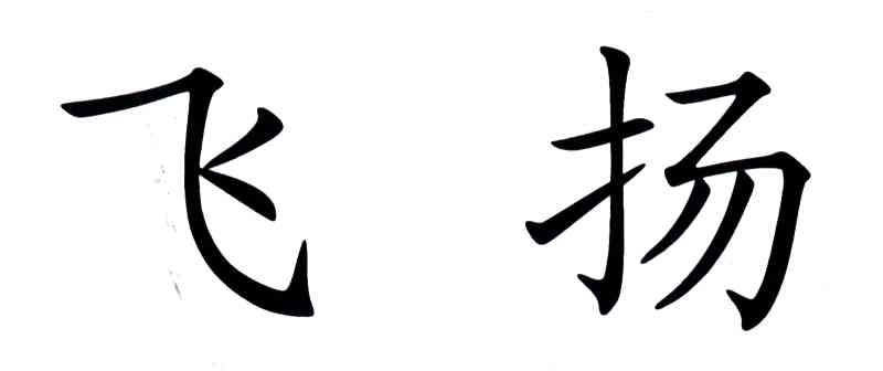 飞扬