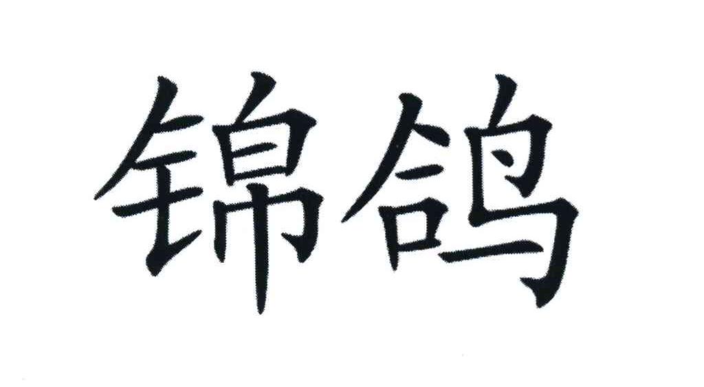 锦鸽