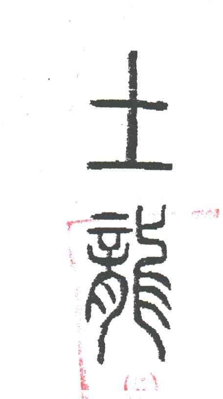 土龙