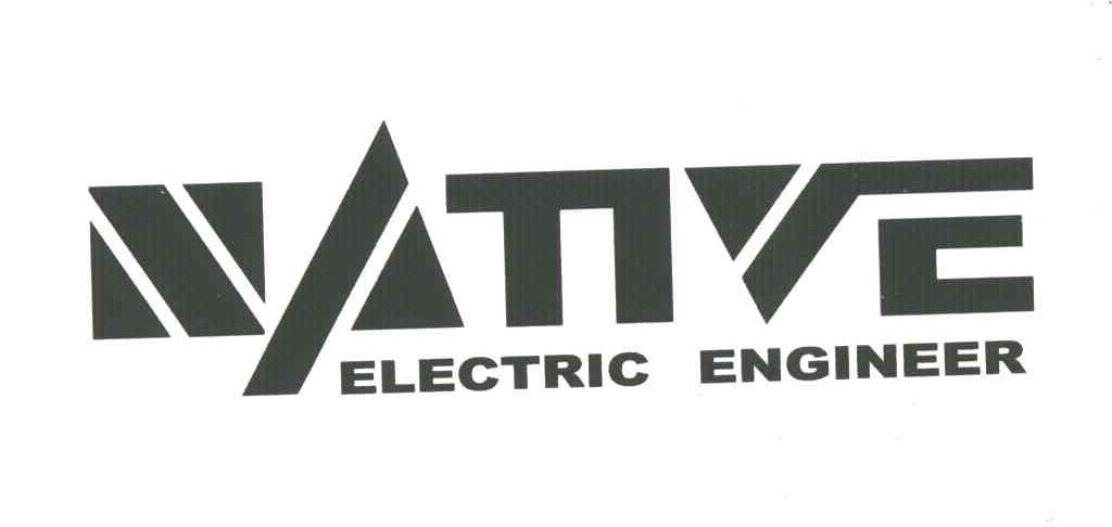 NATIVE ELECTRIC ENGINEER
