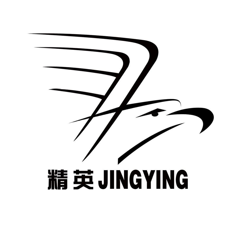 精英