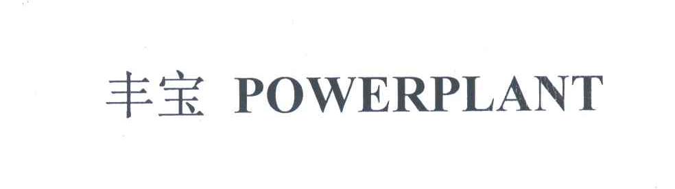 丰宝;POWERPLANT