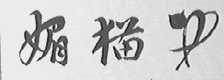 媚猫