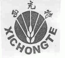 西充特
