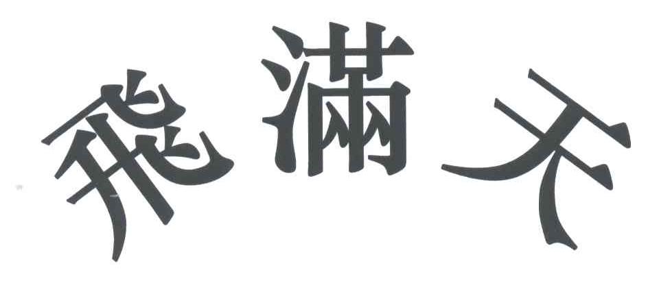 飞满天