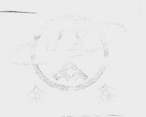 金鑫