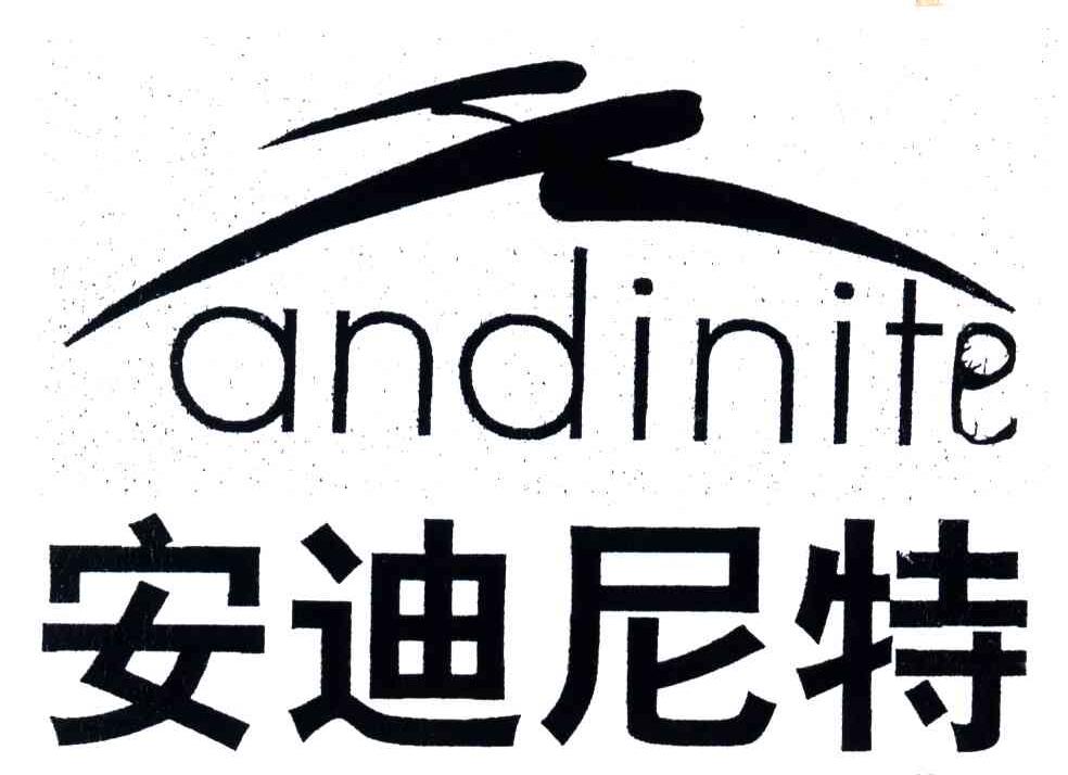 安迪尼特