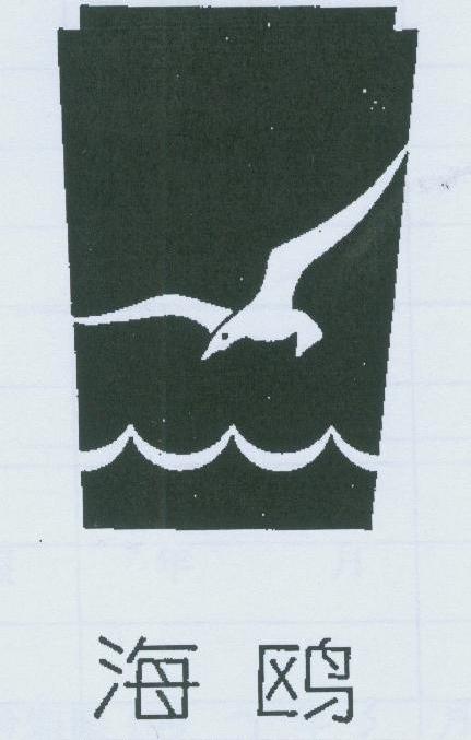 海鸥