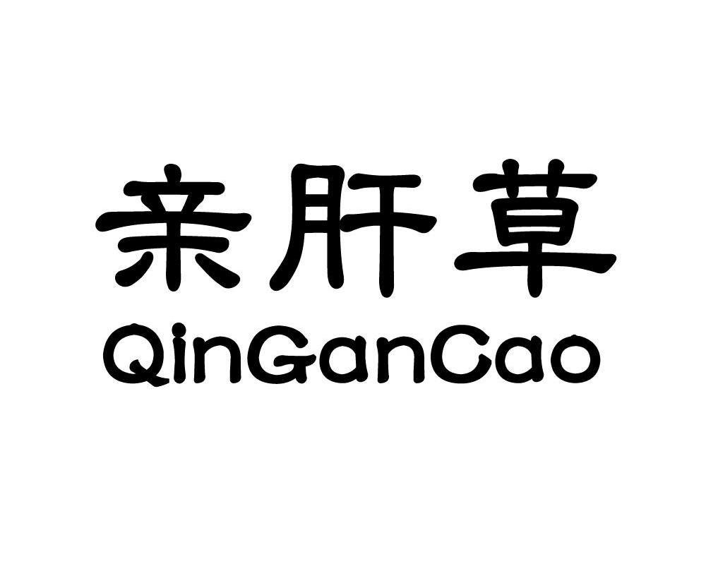 亲肝草