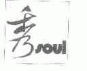 秀;SOUL