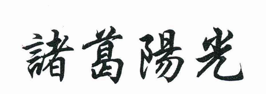 诸葛阳光