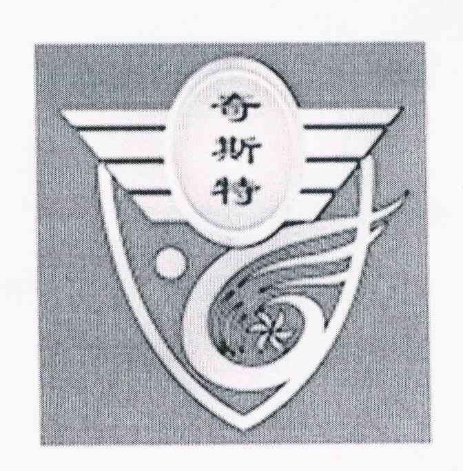 奇斯特