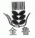 金鲁