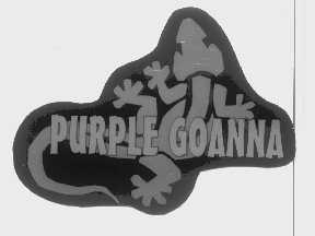 PURPLE GOANNA