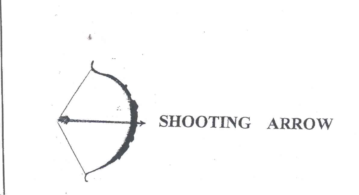 SHOOTING ARROW