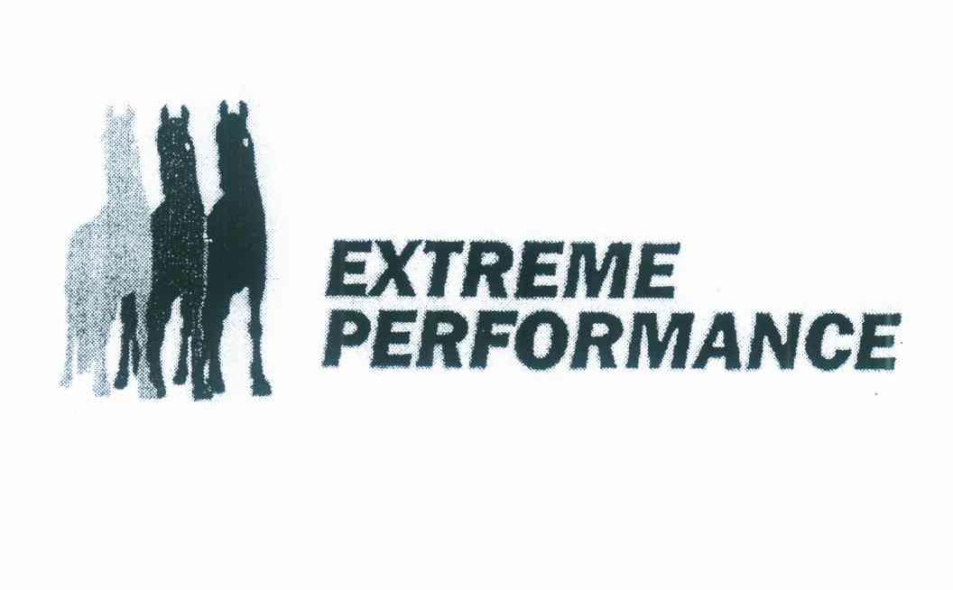 EXTREME PERFORMANCE