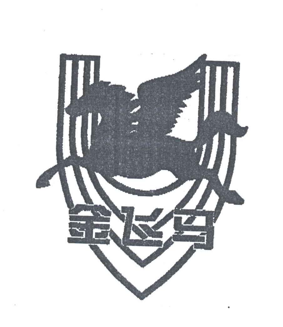 金飞马