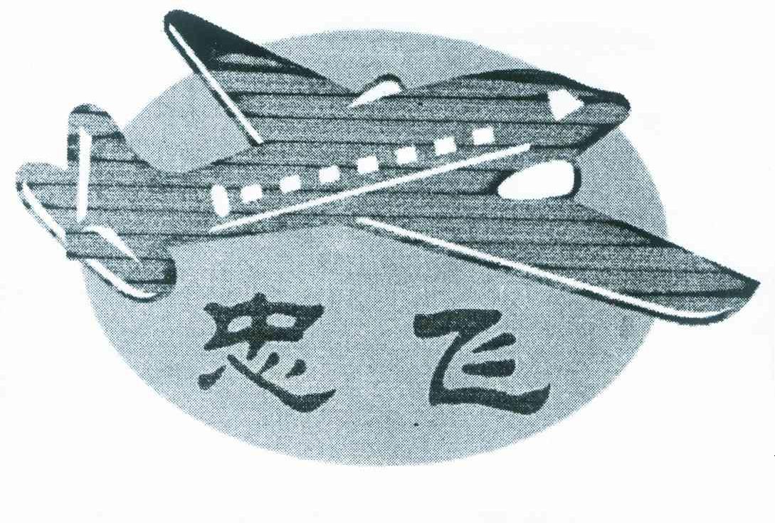 忠飞