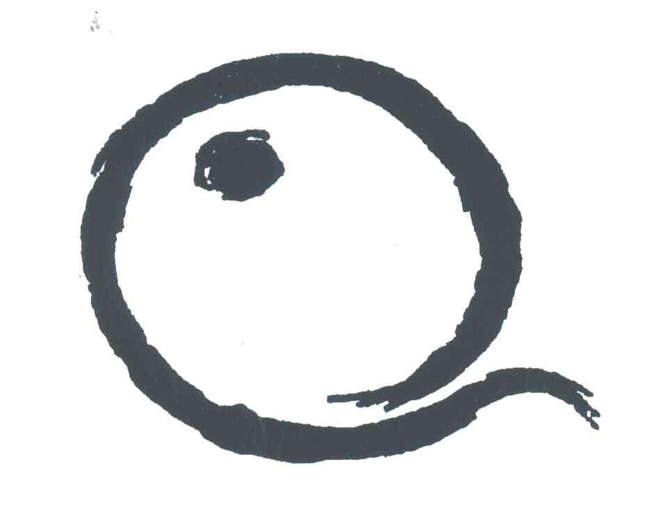 图形