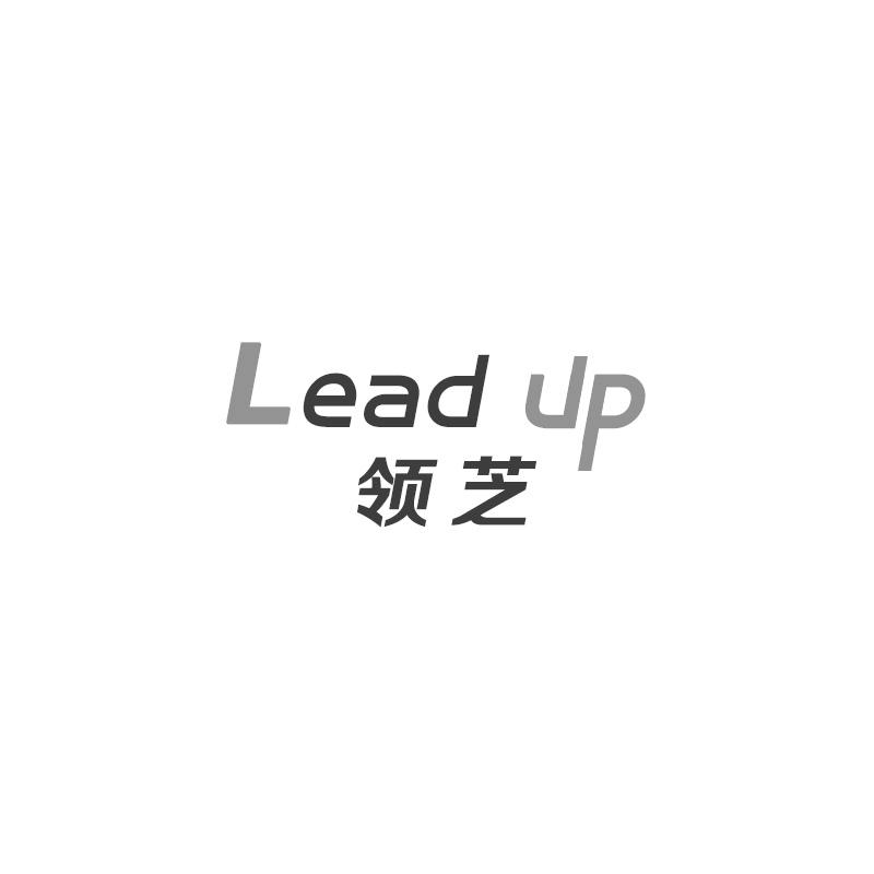 领芝 LEAD UP