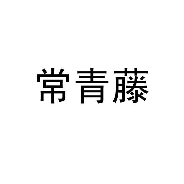 常青藤