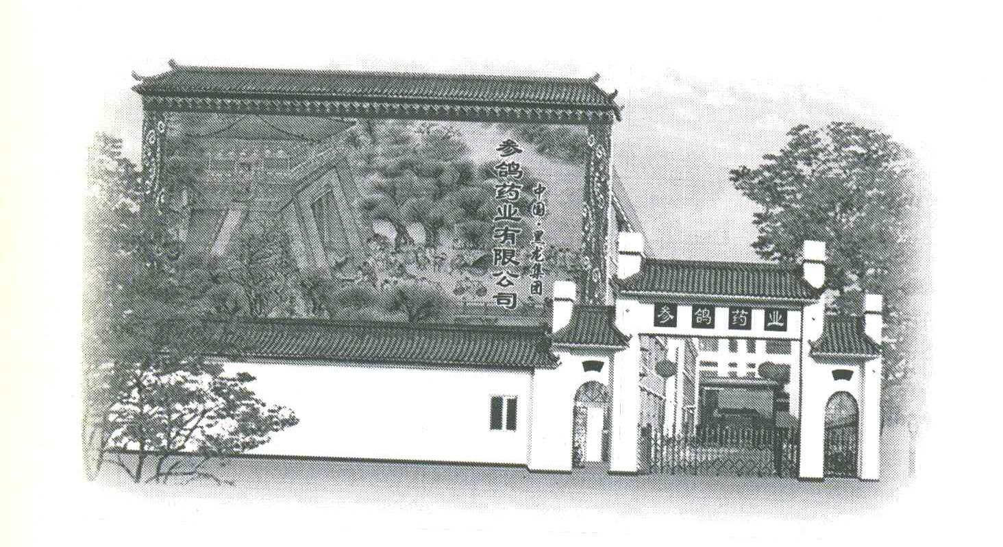 参鸽药业有限公司;中国黑龙集团;参鸽药业