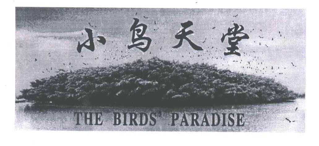 小鸟天堂;THE BIRDS＇PARADISE