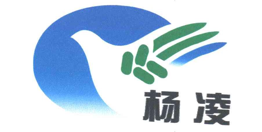 杨凌