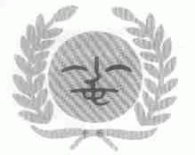 小毛