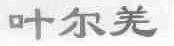叶尔羌