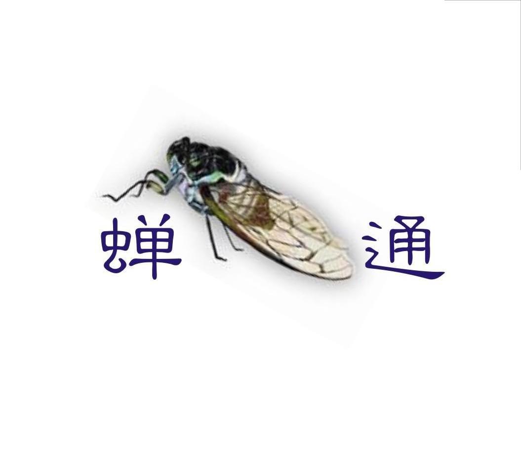 蝉通