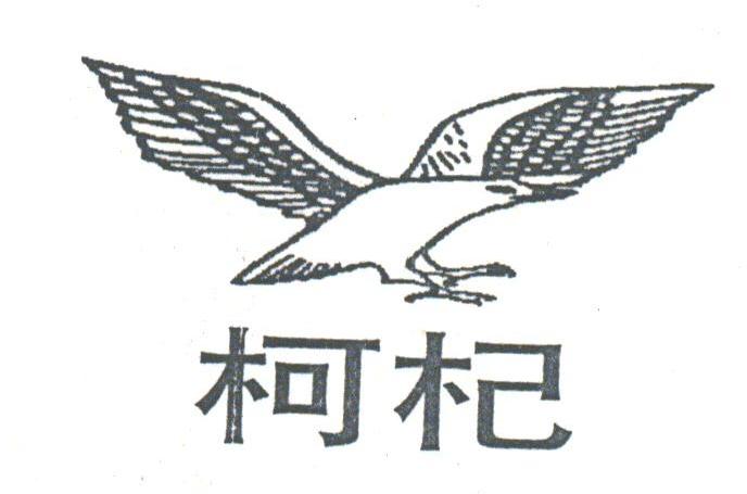 柯杞