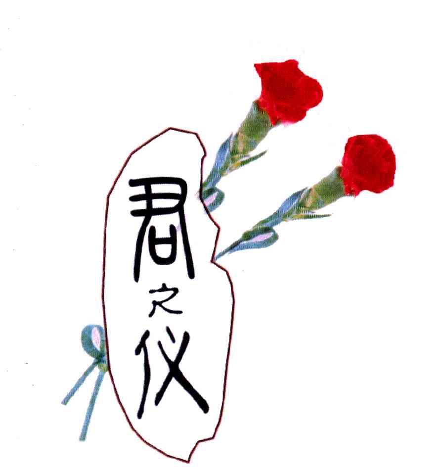 君之仪