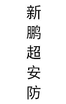 新鹏超安防