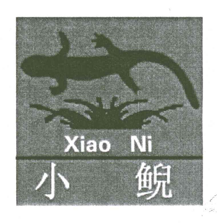 小鲵
