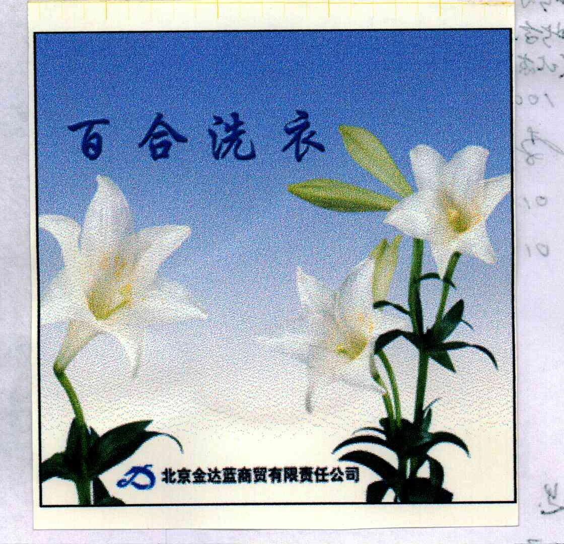 百合；金达蓝